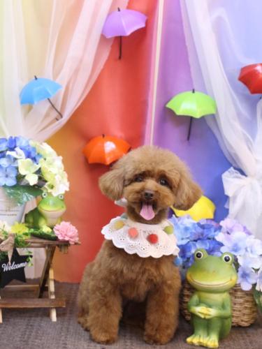 20230628永遠ちゃん